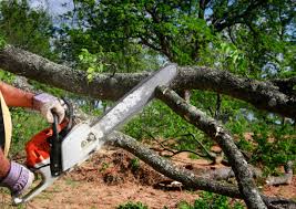 Best Utility Line Clearance  in Mccullom Lake, IL